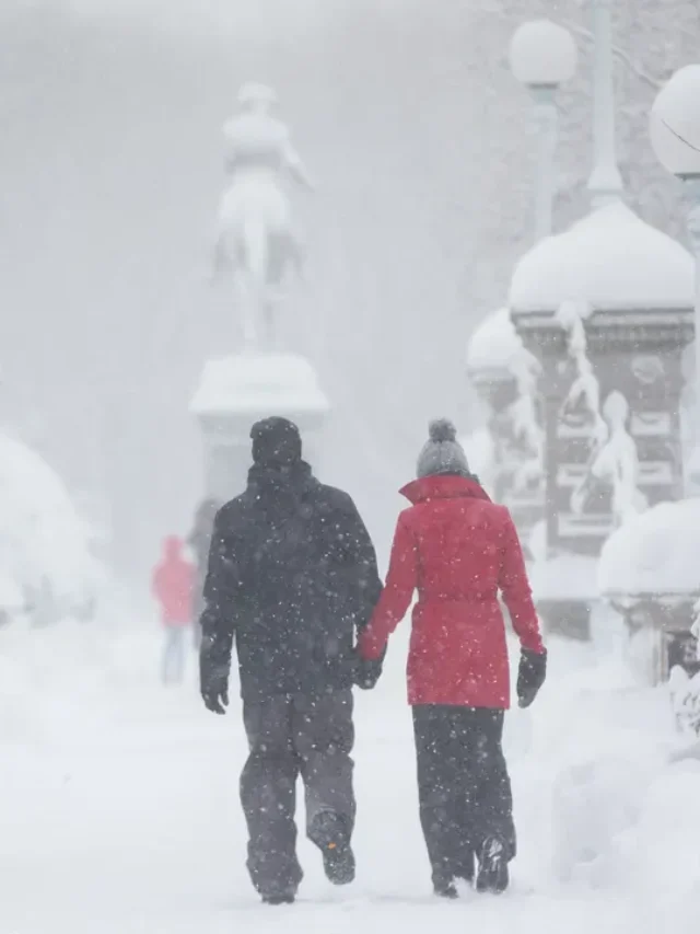 The governor says that buffaloes have become more effective in snowstorms.