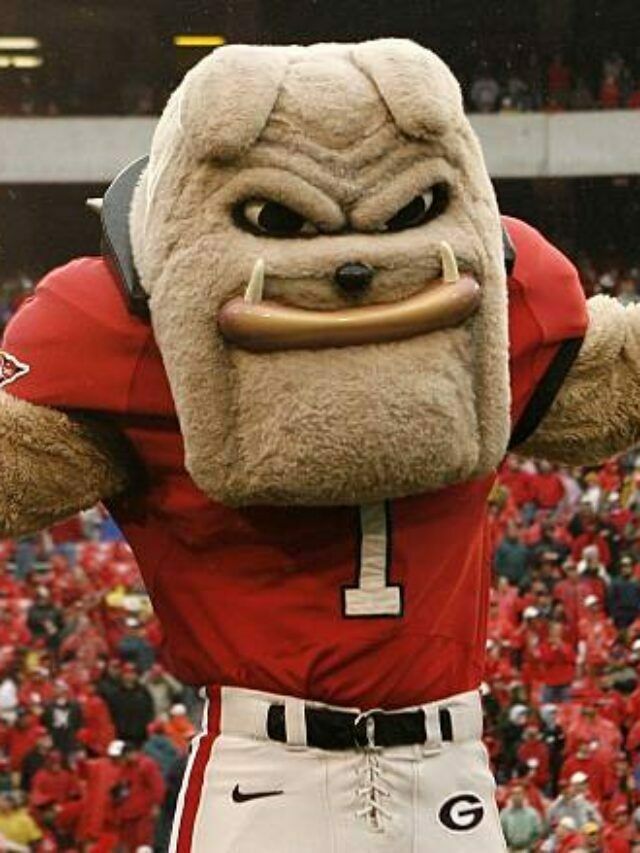 Here’s how Georgia reacted to the Bulldogs’ win at Ohio State.